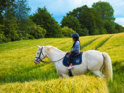 Reitcamp Niederösterreich