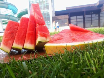 Sommer Kartcamp Burgenland