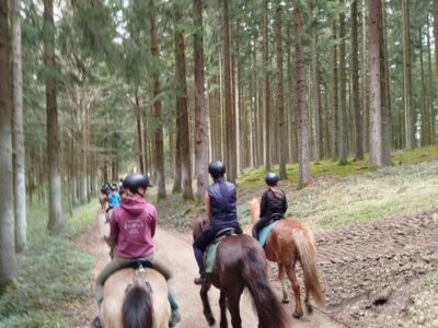 Sommer-Reitcamp Ampflwang