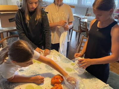 Sommer-Reitcamp Ampflwang