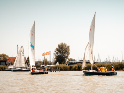Sommer Segelcamp Neusiedler See 2026 Opti 2