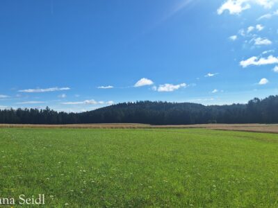 Natur- und Lerncamp Groß Gerungs 2026