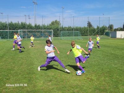 Austria Wien Fußball Camp Traiskirchen 2026