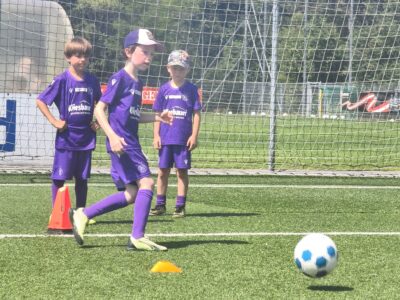 Austria Wien Fußballcamp Maria Anzbach 2026