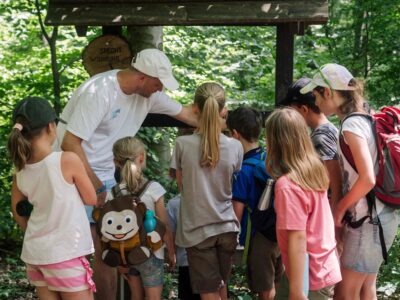 Englisch Camp Wienerwald Purkersdorf 2026