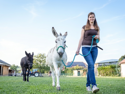 Natur & Englisch Sommercamp Dietersdorf 2026