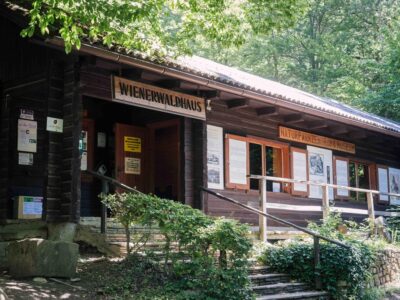 Englisch Camp Wienerwald Purkersdorf 2026