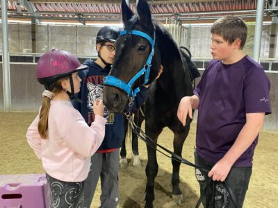 Reit Sommercamp Mistelbach 2026
