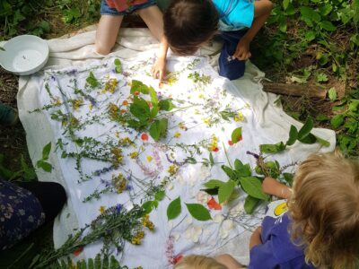 Natur Sommercamp Bisamberg 2026