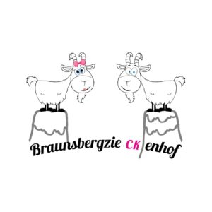 Logo Braunsbergziecken