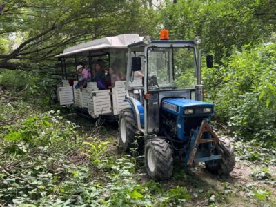 Natur & Tiercamp Hainburg 2026