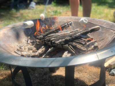 Natur & Tiercamp Hainburg 2026