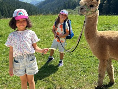 Abenteuer Sommercamp Auerbach 2026