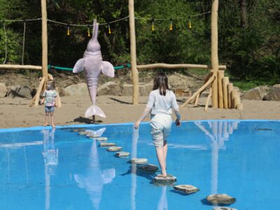 Natur- und Fossilien Sommercamp Stetten 2026