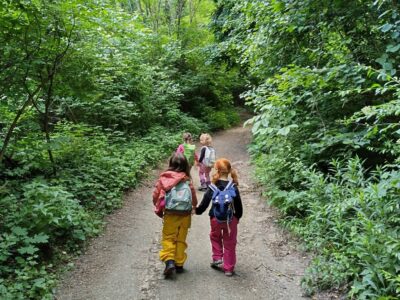 Natur Sommercamp Bisamberg 2026